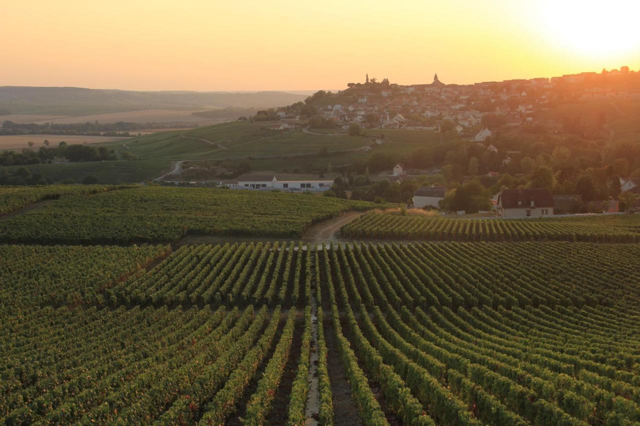 Lodge De La Vigneronne Châtillon-sur-Marne Kültér fotó