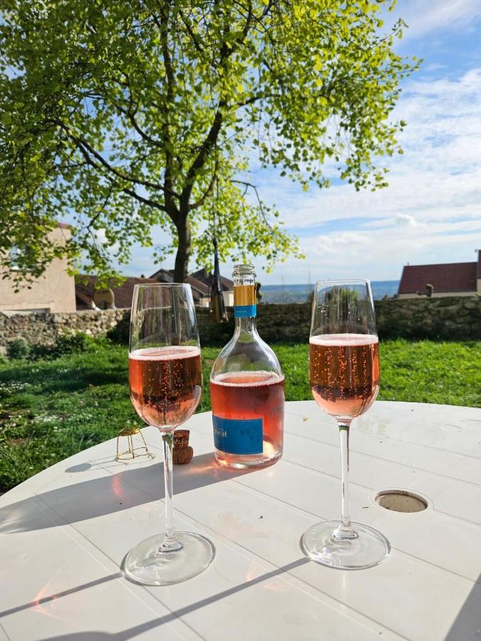 Lodge De La Vigneronne Châtillon-sur-Marne Kültér fotó